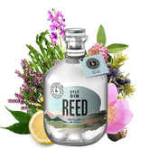 REED Sylt Gin - GiNFAMILY